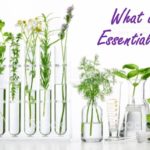 Essential Oils for Maternity and Pregnancy–A Beautiful Adventure